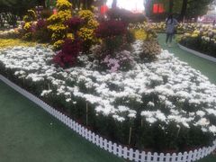 -上海市龙华烈士陵园