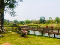 -王借岗森林公园