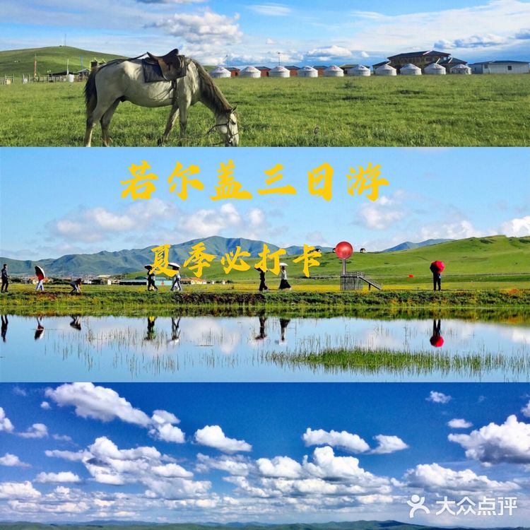 成都周边游[加油]夏季若尔盖大草原旅行