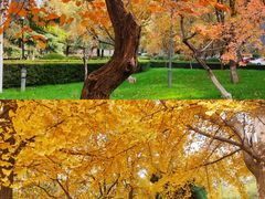 -防灾科技学院(南校区)