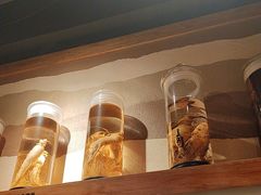 -长寿参鸡汤(朝韩风情街店)