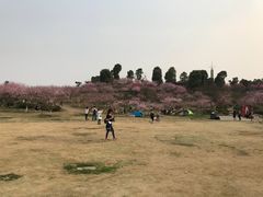 -秀丽东方