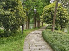 -西溪国家湿地公园