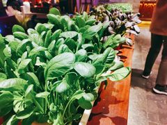 大堂-二十八里太湖船菜(吉祥路店)