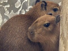 -鄂尔多斯野生动物园