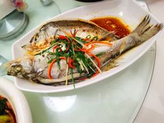 蒸鱼-日日香卤鹅饭店·澄海狮头鹅(澄海店)