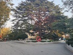 -青岛德国总督楼旧址博物馆