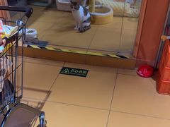 -MARSMART PETS火星宠物超市(1733店)