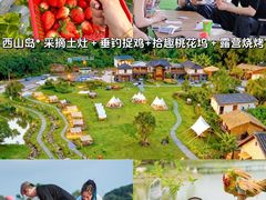 -上海山野camping·户外天幕烧烤·团建拓展营地