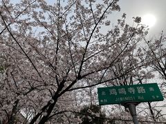 -南京城墙景区