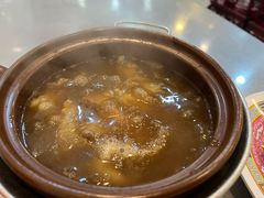 -大中鱼翅 Taitong Shark Fin