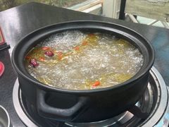 -蘑统田下·野生菌火锅