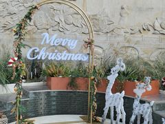 -紫荆广场·花漫里