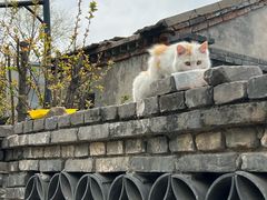 -春风习习