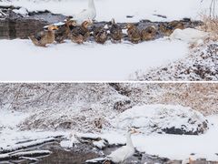 -妙峰山风景名胜区