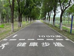 -东郊湿地公园