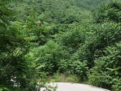 -云岫谷自然风景区