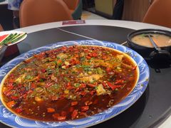 -新概念来凤鱼(璧山店)