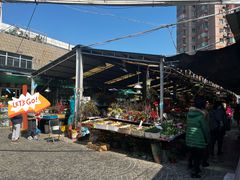 -曲阳花鸟市场(曲阳路店)