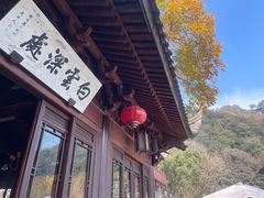 -韬光茶庵