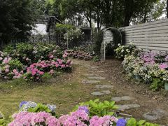 -嘉北郊野公园