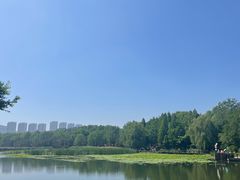 -前关湿地公园
