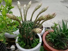 -上海西上海奥杰奥迪汽车销售有限公司(真如店)