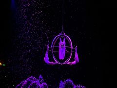 -广州长隆国际大马戏