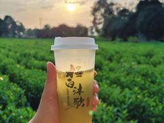 -帐篷客·溪龙茶谷度假酒店