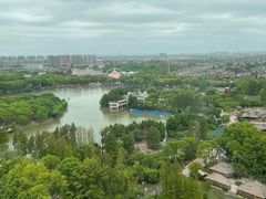-上海野生动物园