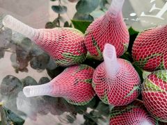 -循礼门鲜花花市(武汉循礼门店)