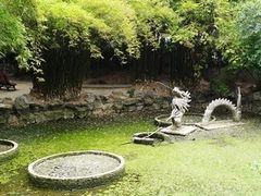 -汇龙潭