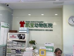 -悦宠凯宝动物医院·牙科·皮肤科(朝阳北路店)