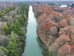 -上海海湾国家森林公园