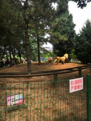 -大望京儿童游乐场