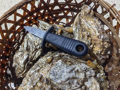 -蚝堡·生蚝海鲜烧烤物种起源•海肠捞饭(刘公岛店)