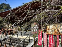 -醍醐寺