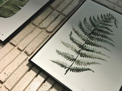-TAMATI(巴黎贝甜韩式西餐厅店)