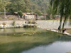 -快活林烧烤(红新路店)