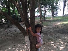 美帆游艇俱乐部-上海美帆帆船露营基地