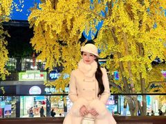 -奇芳阁·百年清真南京菜(夫子庙店)
