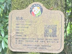 -成都老君山
