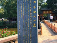 -白洋淀景区