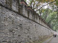 -桂湖森林公园