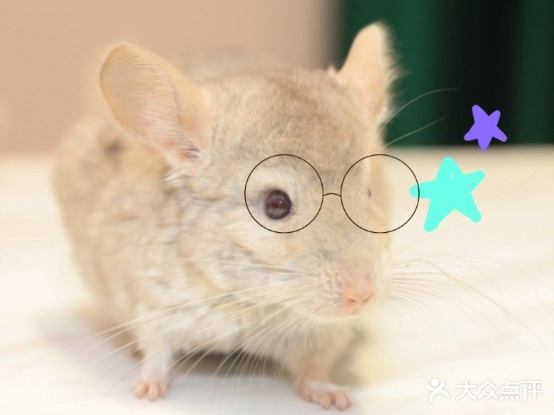 OMG！是心动的六一！