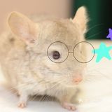 OMG！是心动的六一！
