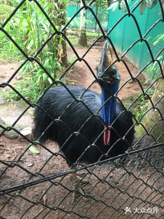 热带雨林自然公园图片