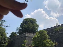 -湖南东洞庭湖国家级自然保护区