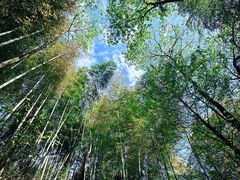 -中铁花水湾四季温泉谷