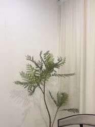 -张小野·专业半永久纹眉